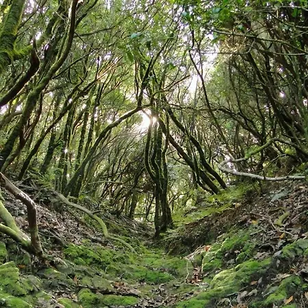 Pepita Penthouse With Terrace & Wifi, Close To The Teresitas San Andrés